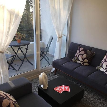 Condominio Robles Camino Al Volcan Pucón Εξωτερικό φωτογραφία