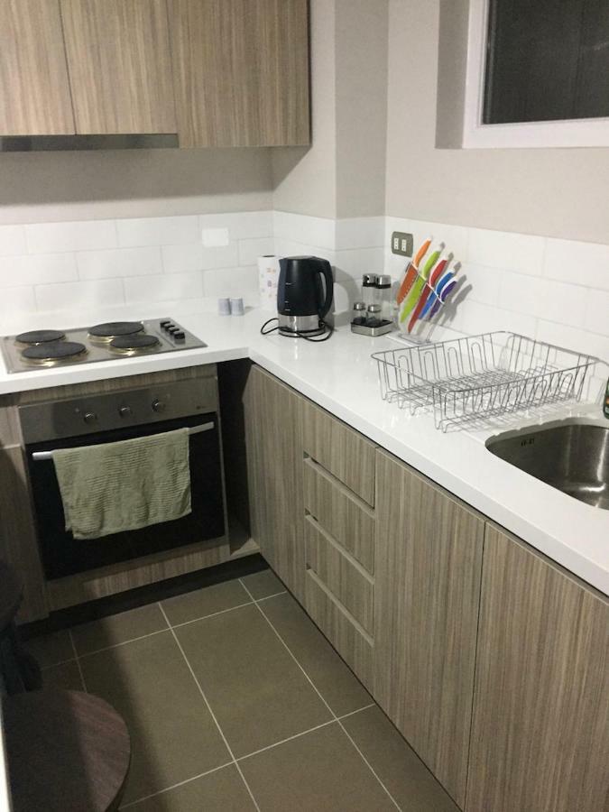 Condominio Robles Camino Al Volcan Pucón Εξωτερικό φωτογραφία
